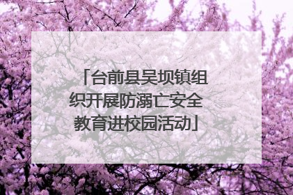 台前县吴坝镇组织开展防溺亡安全教育进校园活动