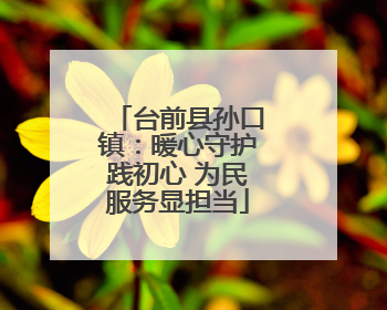 台前县孙口镇：暖心守护践初心 为民服务显担当