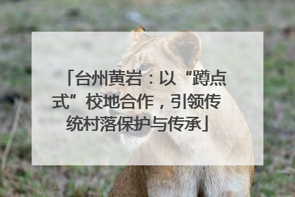 台州黄岩：以“蹲点式”校地合作，引领传统村落保护与传承