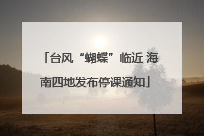 台风“蝴蝶”临近 海南四地发布停课通知