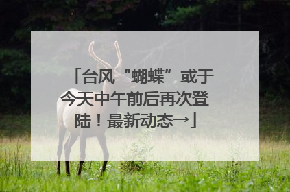 台风“蝴蝶”或于今天中午前后再次登陆！最新动态→
