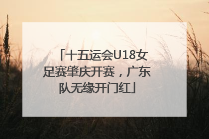 十五运会U18女足赛肇庆开赛，广东队无缘开门红