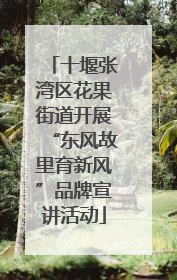 十堰张湾区花果街道开展“东风故里育新风”品牌宣讲活动
