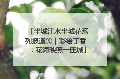 半城江水半城花系列报道⑤｜彩绘丁香：花海映照一座城