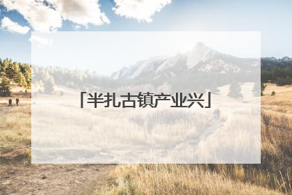 半扎古镇产业兴