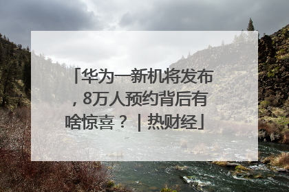 华为一新机将发布，8万人预约背后有啥惊喜？｜热财经