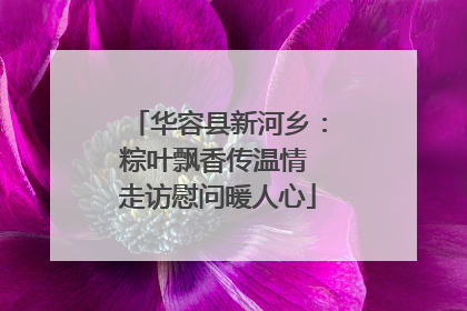 华容县新河乡：粽叶飘香传温情 走访慰问暖人心