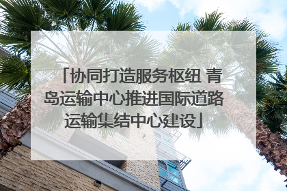 协同打造服务枢纽 青岛运输中心推进国际道路运输集结中心建设