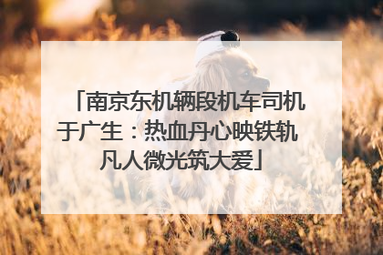 南京东机辆段机车司机于广生：热血丹心映铁轨 凡人微光筑大爱