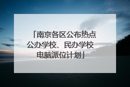 南京各区公布热点公办学校、民办学校电脑派位计划