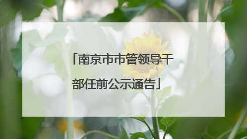 南京市市管领导干部任前公示通告