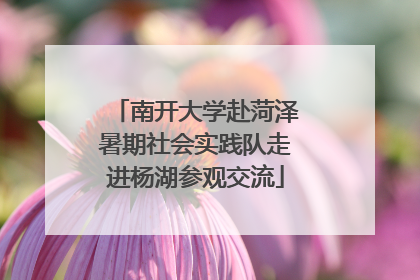 南开大学赴菏泽暑期社会实践队走进杨湖参观交流