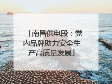 南昌供电段：党内品牌助力安全生产高质量发展