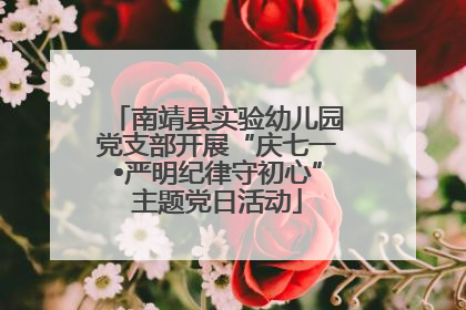 南靖县实验幼儿园党支部开展“庆七一•严明纪律守初心”主题党日活动