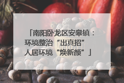 南阳卧龙区安皋镇：环境整治“出真招” 人居环境“焕新颜”