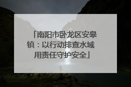 南阳市卧龙区安皋镇：以行动排查水域 用责任守护安全