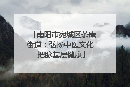 南阳市宛城区茶庵街道：弘扬中医文化 把脉基层健康
