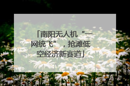 南阳无人机“一网统飞”，抢滩低空经济新赛道