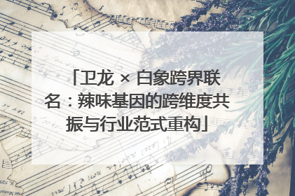 卫龙 × 白象跨界联名：辣味基因的跨维度共振与行业范式重构