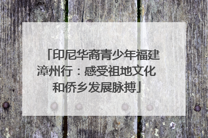 印尼华裔青少年福建漳州行：感受祖地文化和侨乡发展脉搏