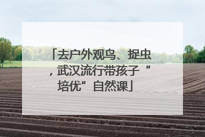 去户外观鸟、捉虫，武汉流行带孩子“培优”自然课
