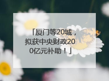 厦门等20城，拟获中央财政200亿元补助！