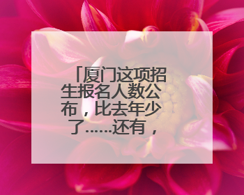 厦门这项招生报名人数公布，比去年少了……还有，小升初呢？