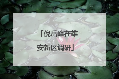 倪岳峰在雄安新区调研