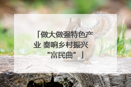 做大做强特色产业 奏响乡村振兴“富民曲”