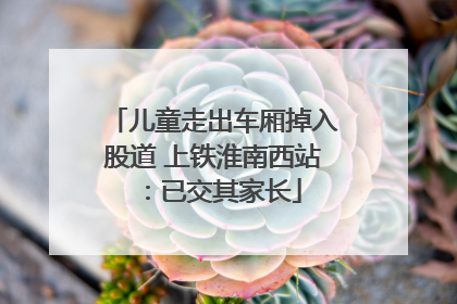 儿童走出车厢掉入股道 上铁淮南西站：已交其家长