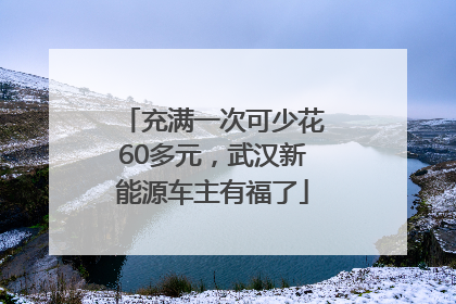 充满一次可少花60多元，武汉新能源车主有福了