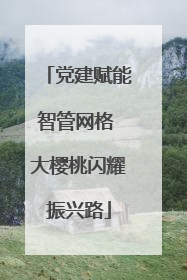 党建赋能智管网格 大樱桃闪耀振兴路