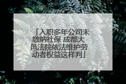 入职多年公司未缴纳社保 成都大邑法院依法维护劳动者权益这样判