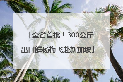 全省首批！300公斤出口鲜杨梅飞赴新加坡
