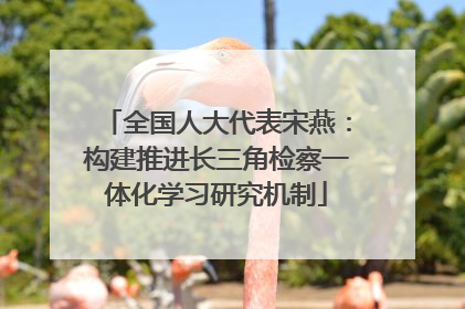 全国人大代表宋燕：构建推进长三角检察一体化学习研究机制