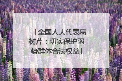 全国人大代表葛树芹：切实保护弱势群体合法权益
