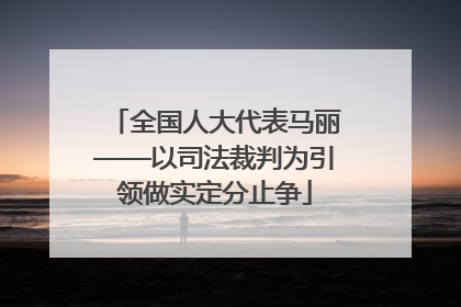 全国人大代表马丽——以司法裁判为引领做实定分止争