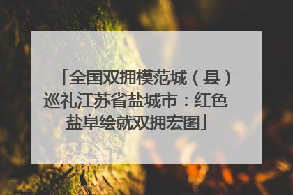 全国双拥模范城（县）巡礼江苏省盐城市：红色盐阜绘就双拥宏图