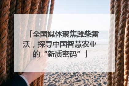 全国媒体聚焦潍柴雷沃，探寻中国智慧农业的“新质密码”