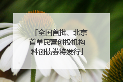全国首批、北京首单民营创投机构科创债券将发行