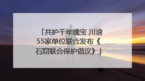 共护千年瑰宝 川渝55家单位联合发布《石窟联合保护倡议》