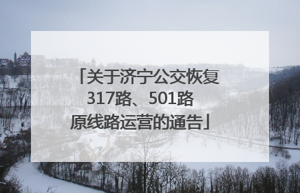 关于济宁公交恢复317路、501路原线路运营的通告