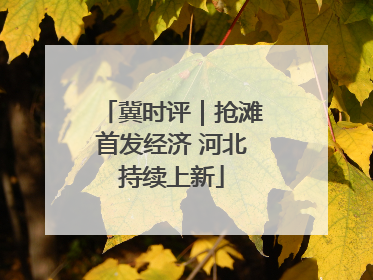 冀时评｜抢滩首发经济 河北持续上新
