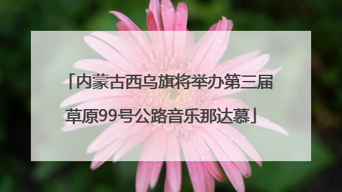 内蒙古西乌旗将举办第三届草原99号公路音乐那达慕