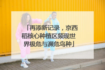 再添新记录，京西稻核心种植区频现世界极危与濒危鸟种