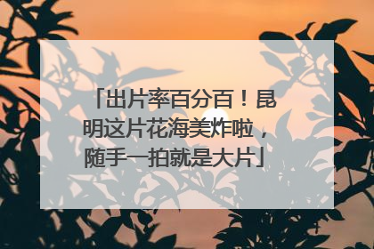 出片率百分百！昆明这片花海美炸啦，随手一拍就是大片