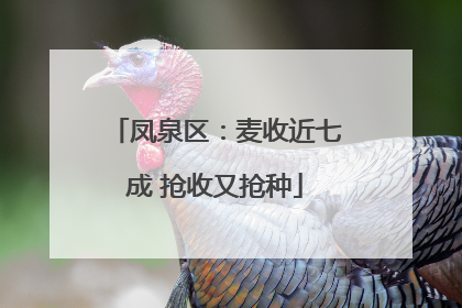 凤泉区：麦收近七成 抢收又抢种