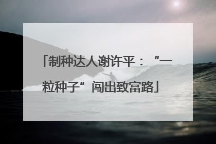 制种达人谢许平：“一粒种子”闯出致富路