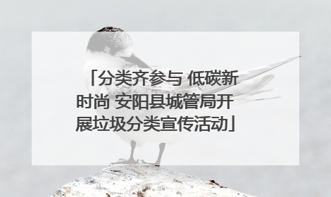 分类齐参与 低碳新时尚 安阳县城管局开展垃圾分类宣传活动