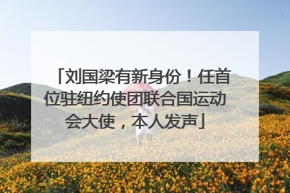 刘国梁有新身份！任首位驻纽约使团联合国运动会大使，本人发声